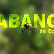 Tábanos del Ecuador - Documental